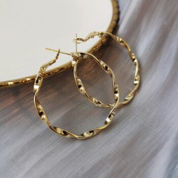 Delicate Morden Hook Korean Earring